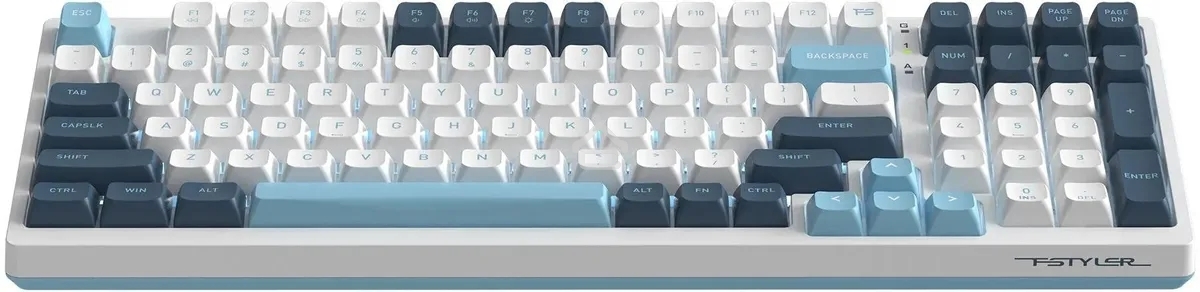 Клавиатура проводная A4Tech Fstyler FS300 (FS300 PANDA SNOWBOARDING), USB, белый/синий