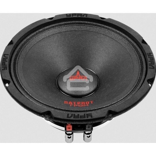 Колонки автомобильные Ural АС-ПТ165.2 ГРОМ (без решетки) 600Вт 99.7дБ 4Ом 16.5 см (6 1/2 дюйм) (ком.: 1 кол.) широкополосные однополосные
