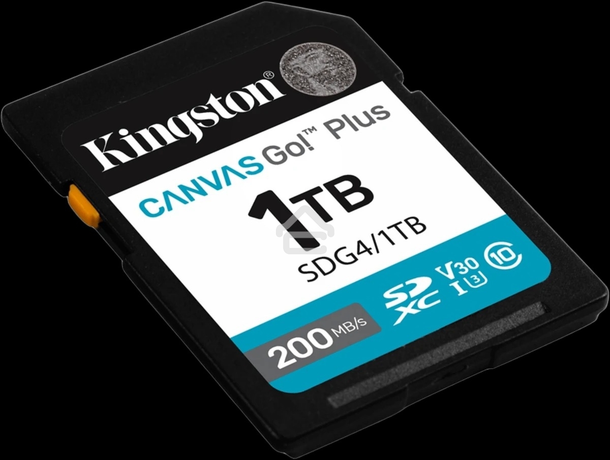 Флеш карта SDXC 1Tb Kingston SDG4/1Tb Canvas Go! Plus w/o adapter