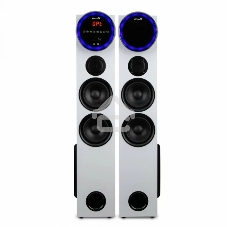 Колонка Eltronic 10