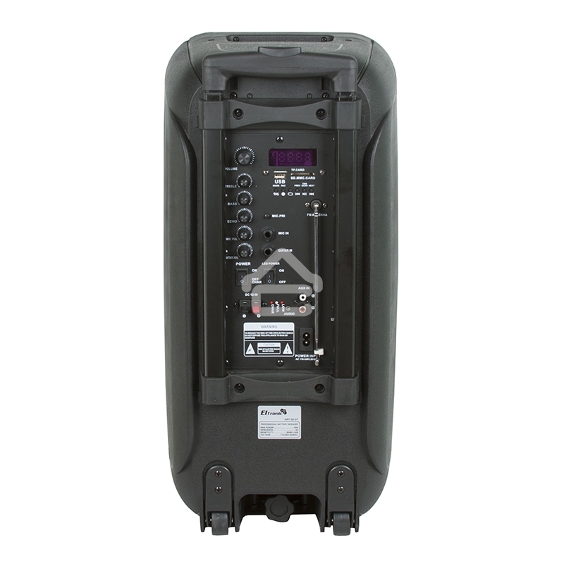 Колонка Eltronic 08