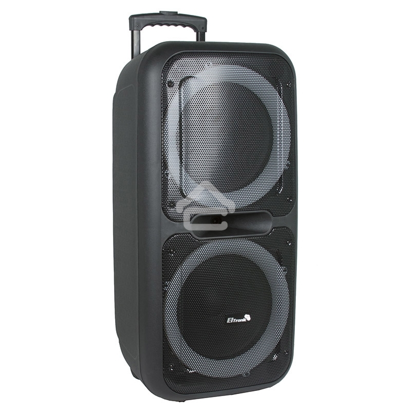 Колонка Eltronic 08