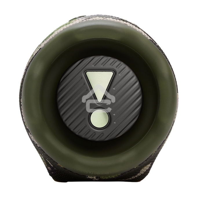 Портативная колонка JBL JBLCHARGE6SQUAD камуфляж