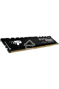Оперативная память Patriot Signature Premium, DDR5, 16GB (1x16 GB), 5600 MHz, CL46, радиатор, черный