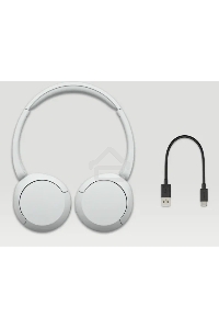 Гарнитура SONY Bluetooth WH-CH520WZ белый
