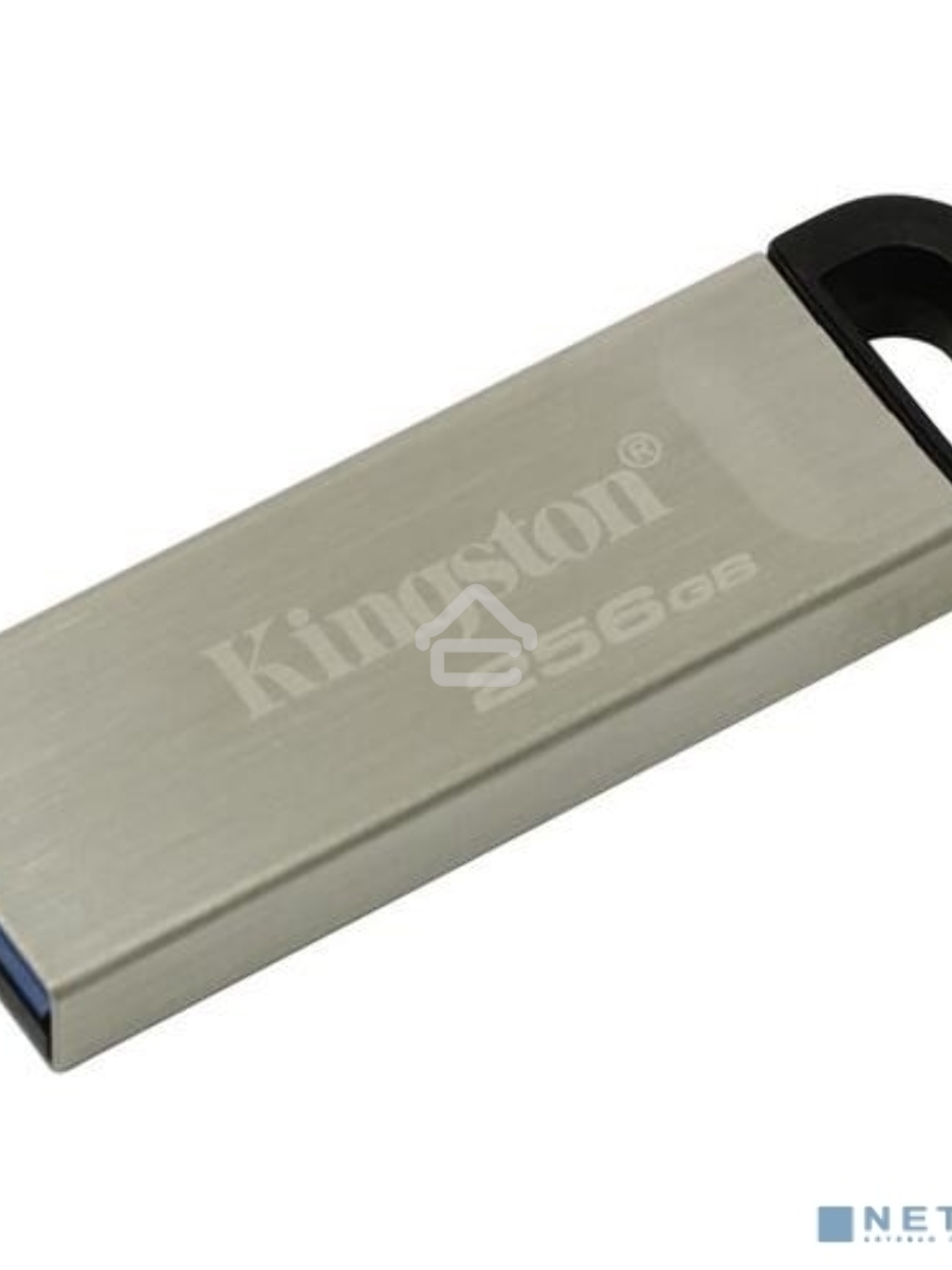Флеш диск Kingston KYSON 256GB USB 3.2 Gen 1