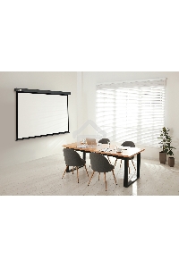 Экран Cactus 180x180см Wallscreen CS-PSW-180X180-SG 1:1 настенно-потолочный рулонный серый