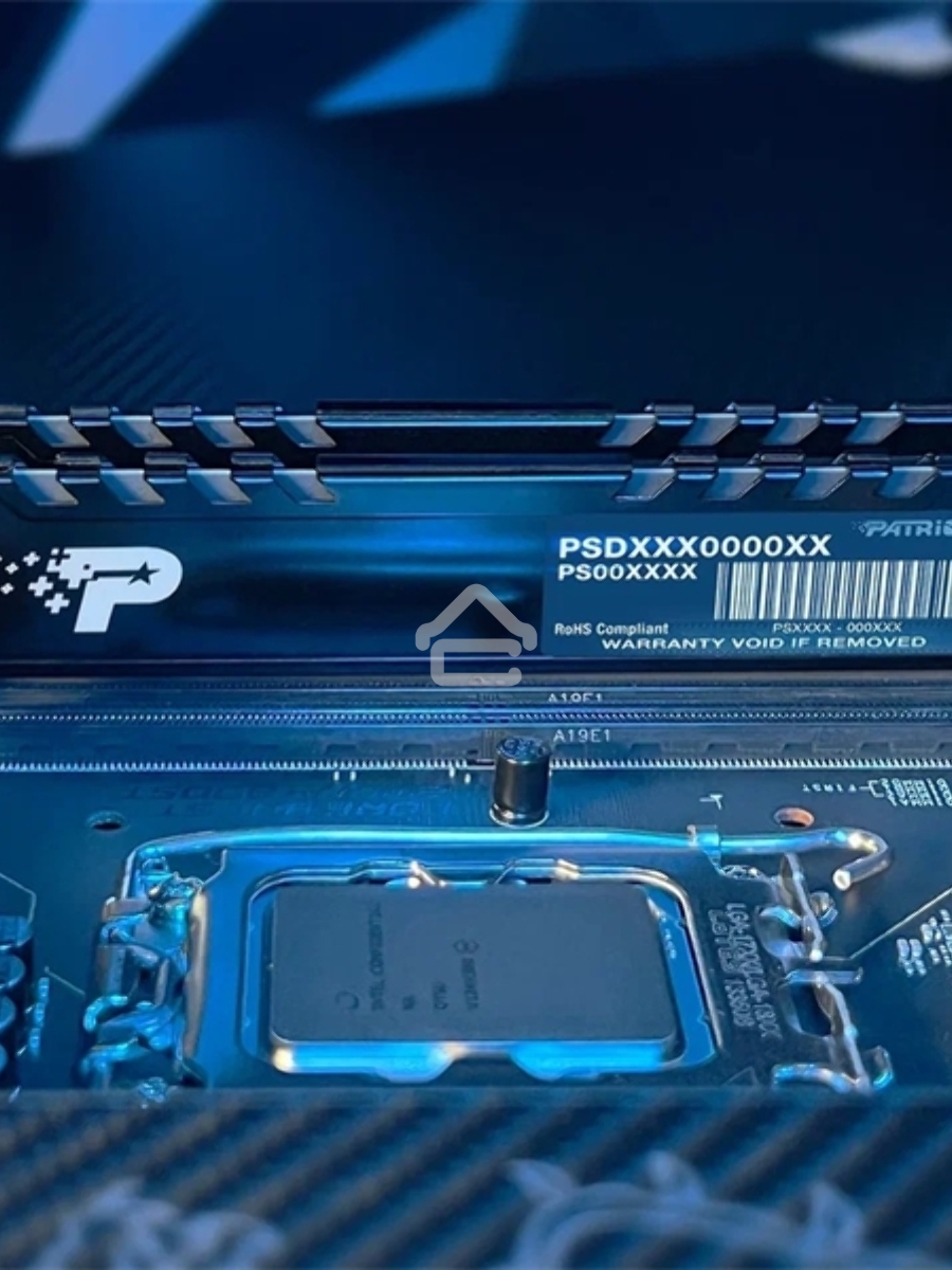 Оперативная память Patriot Signature Premium, DDR5, 8GB (1x8 GB), 5200 MHz, CL42, DIMM, радиатор, черный