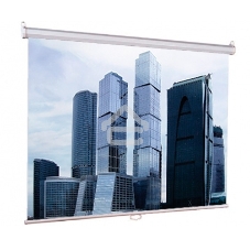 Экраны LUMIEN Eco Picture LEP-100101, 150х150 см, 1:1