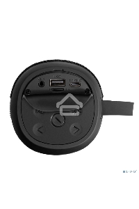 Караоке-система ExeGate Bro 310  Bluetooth черный