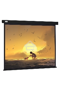 Экран Cactus 150x150см Wallscreen CS-PSW-150X150-BK 1:1 настенно-потолочный рулонный черный
