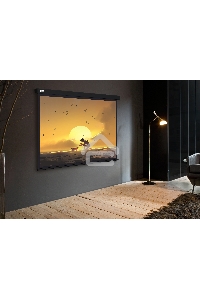 Экран Cactus 150x150см Wallscreen CS-PSW-150X150-BK 1:1 настенно-потолочный рулонный черный