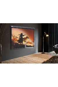 Экран Cactus 213x213см Wallscreen CS-PSW-213X213-SG 1:1 настенно-потолочный рулонный серый