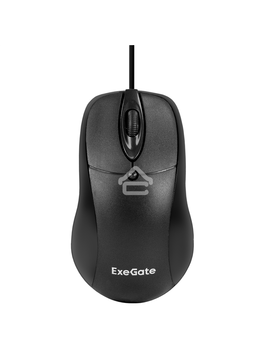 Мышь проводная ExeGate Professional Standard B100 черный, 1000 dpi, USB, кнопки - 3