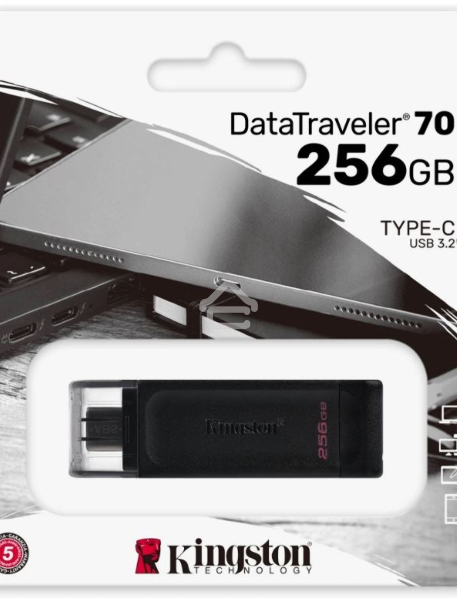 Флеш диск Kingston 256Gb DataTraveler 70 DT70/256GB USB Type-C 3.2 черный