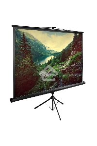 Экран Cactus 220x220см TriExpert CS-PSTE-220х220-BK 1:1 напольный рулонный