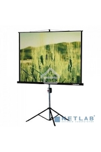 Экран на треноге Lumien 153x203см Master View LMV-100107 4:3 напольный рулонный