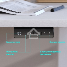 Моторизированное подстолье ONKRON CDF222E-W с регулировкой по высоте, белое