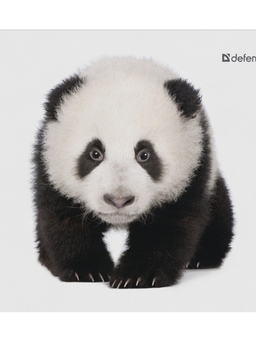 Коврик для мыши Defender Wild Animals и, 220x180x2 мм, 8 видов