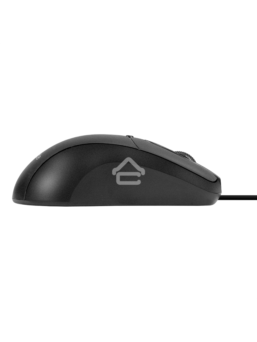 Мышь проводная ExeGate Professional Standard B100 черный, 1000 dpi, USB, кнопки - 3