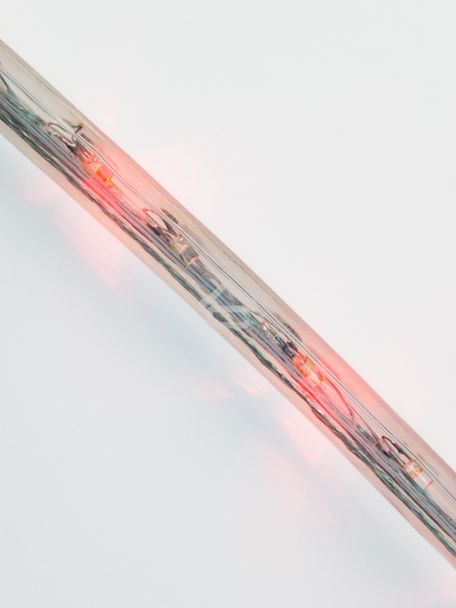Дюралайт LED, постоянное свечение (2W) - красный, 36 LED/м, бухта 100м Neon-Night
