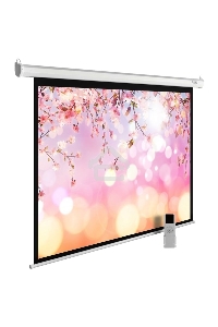 Экран Cactus 220x220см MotoExpert CS-PSME-220x220-WT 1:1 настенно-потолочный рулонный белый (моторизованный привод)