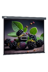 Экран Cactus 127x127см Wallscreen CS-PSW-127X127-SG 1:1 настенно-потолочный рулонный серый