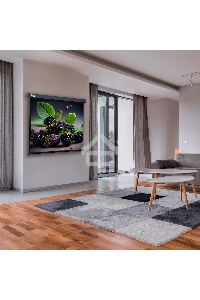 Экран Cactus 127x127см Wallscreen CS-PSW-127X127-SG 1:1 настенно-потолочный рулонный серый