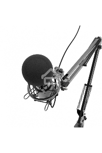 Микрофон RITMIX RDM-180 черный