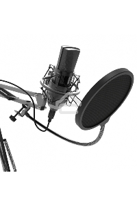 Микрофон RITMIX RDM-180 черный