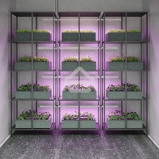 Прозрачный Светильник Gauss Fito TL LED линейный 15W 3000K 1172мм (Full spectrum) 1/25