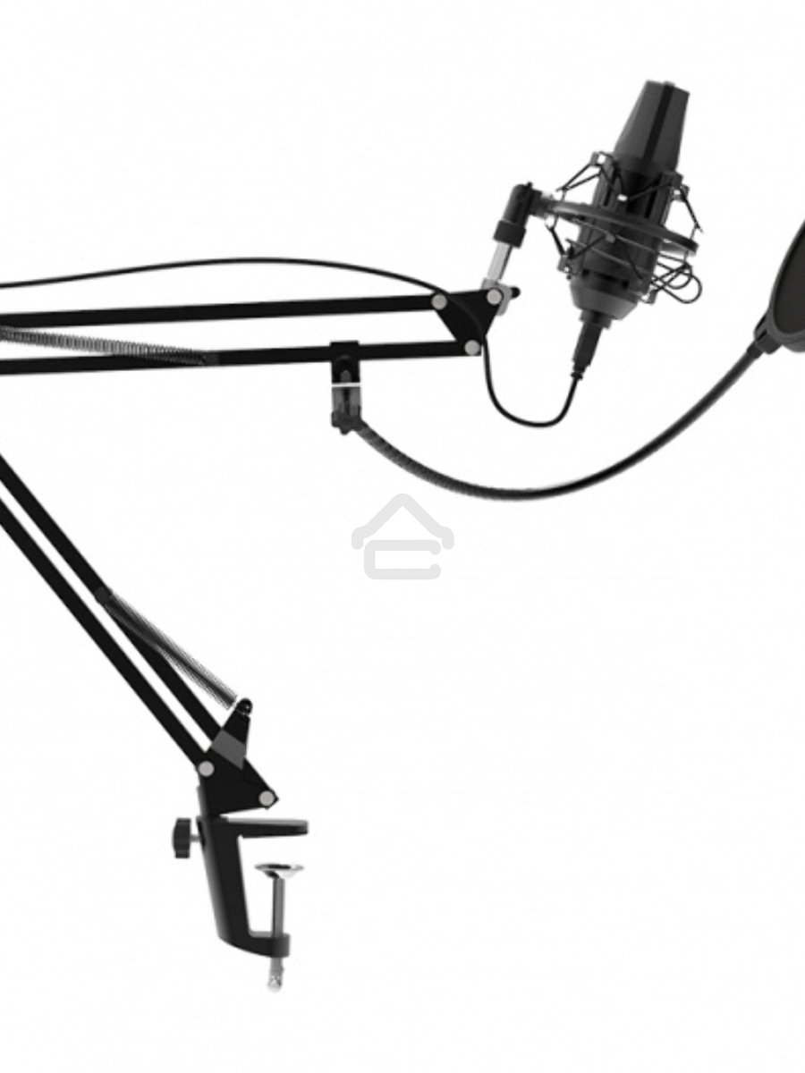 Микрофон RITMIX RDM-180 черный