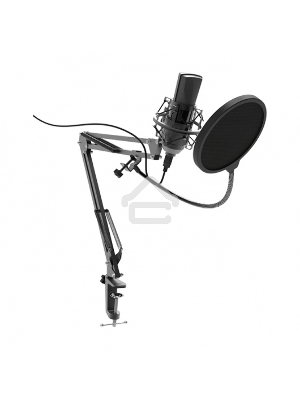 Микрофон RITMIX RDM-180 черный