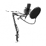 Микрофон RITMIX RDM-180 черный
