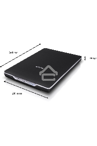 Сканер Epson Perfection V19, планшетный, A4, CIS, 4800x4800 dpi, USB 2.0