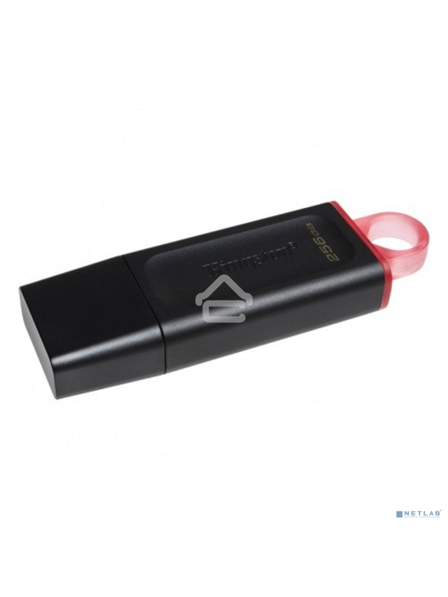 Флеш диск KINGSTON 256GB USB3.2 Gen1 DataTraveler Exodia (Black + Pink)