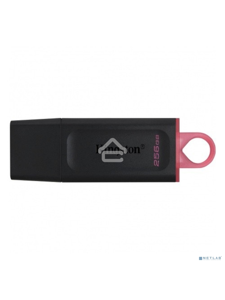 Флеш диск KINGSTON 256GB USB3.2 Gen1 DataTraveler Exodia (Black + Pink)