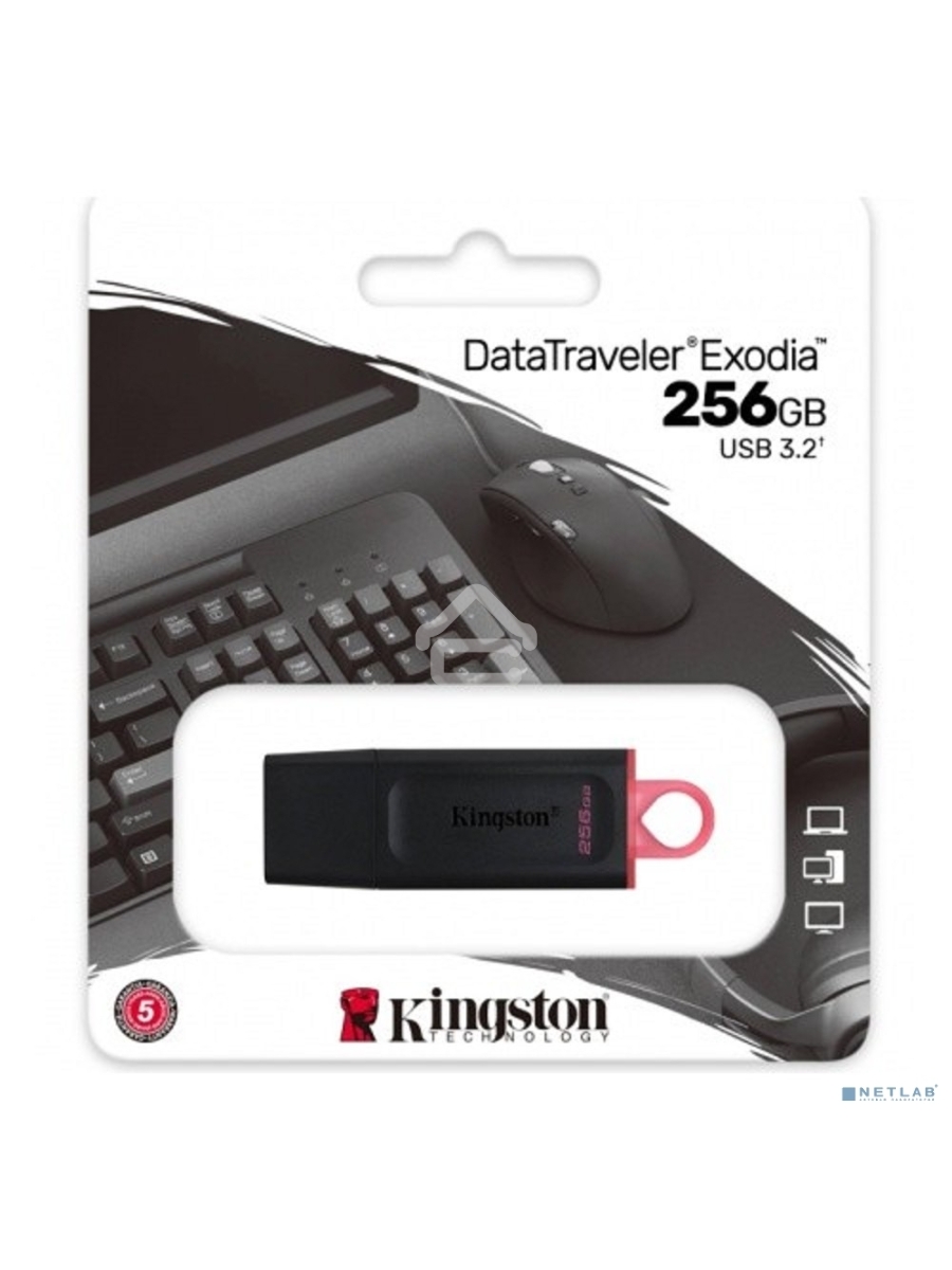 Флеш диск KINGSTON 256GB USB3.2 Gen1 DataTraveler Exodia (Black + Pink)