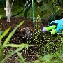 Мотыжка комбинированная, 75х260 мм, стальная, обрезиненная эргономичная рукоятка, ERA Palisad