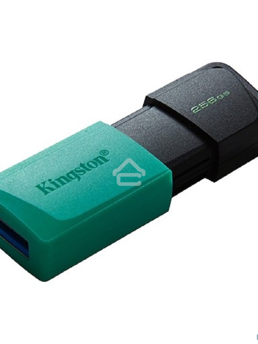 Флеш диск Kingston 256Gb DataTraveler DTXM DTXM/256GB USB3.2 черный/зеленый