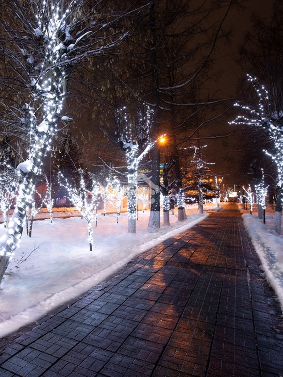 Гирлянда «LED Клип-лайт» 12 V, прозрачный ПВХ, 150 мм, цвет диодов белый