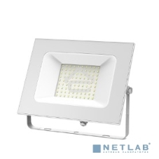 Прожектор светодиодный GAUSS 613120300 Gauss Elementary 100W 6600lm IP65 6500К белый