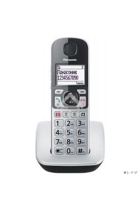 Телефон беспроводной (DECT) Panasonic KX-TGE510RUS, серебристый