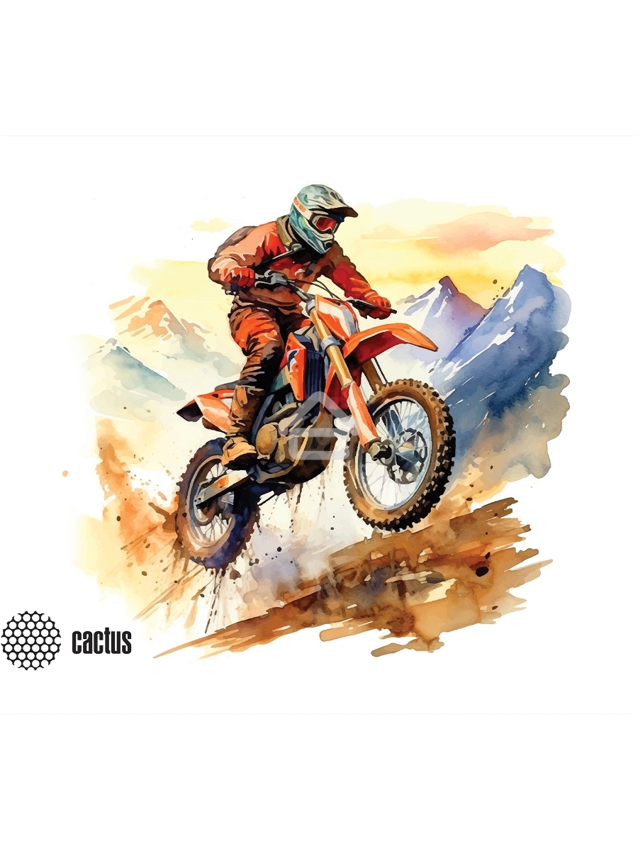 Коврик для мыши Cactus Motobike 250x200x3мм (CS-MP-D12S)