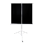 Экран 221x124.5см TriScreen 16:9 напольный рулонный белый  100' Matt White (MW)