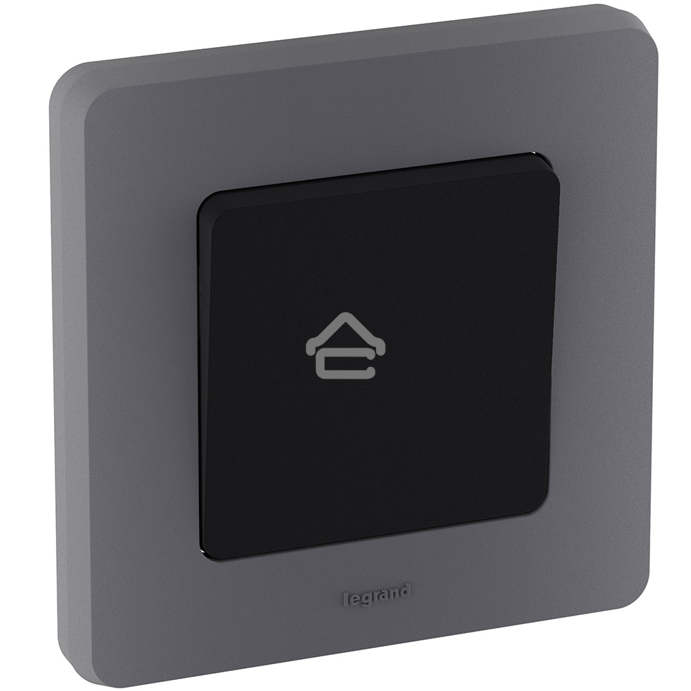 Рамка 1 пост. дымчатый Inspiria