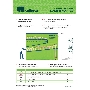 Набор ключей комбинированный 6-32 мм, 26 шт, желтый цинк Сибртех