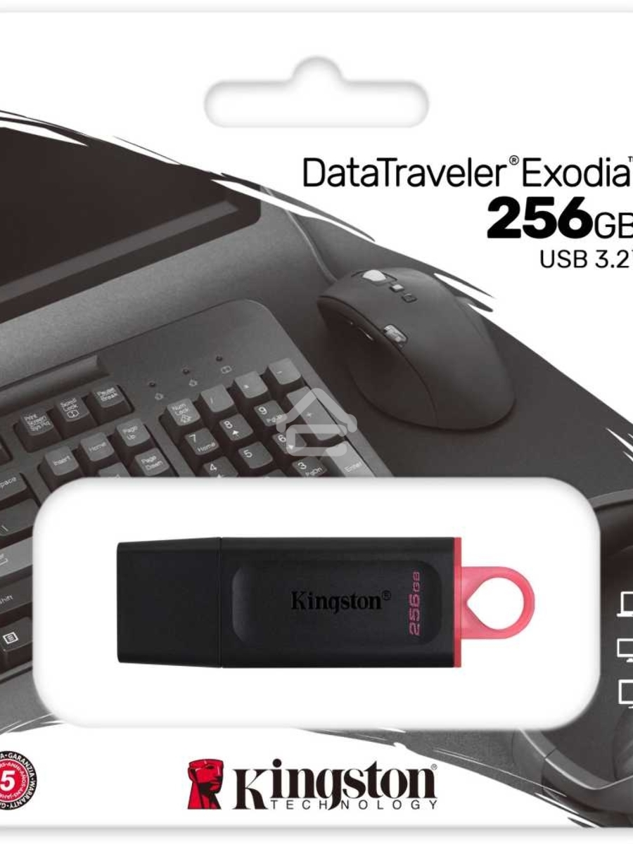 Флеш диск KINGSTON 256GB USB3.2 Gen1 DataTraveler Exodia (Black + Pink)