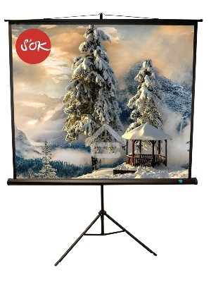 Экран 150x150см TriScreen 1:1 напольный рулонный белый  84' Matt White (MW), черный корпус