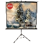 Экран 150x150см TriScreen 1:1 напольный рулонный белый  84' Matt White (MW), черный корпус